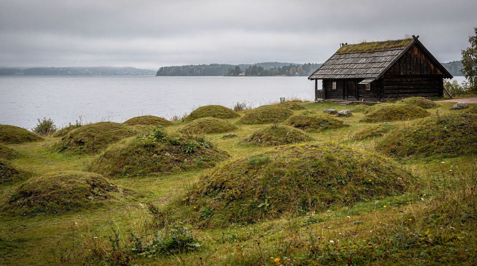 Birka Viking day trip — was it worth it? — Seven hours, two hours on the boat each way, 53 USD per person. We did the Birka