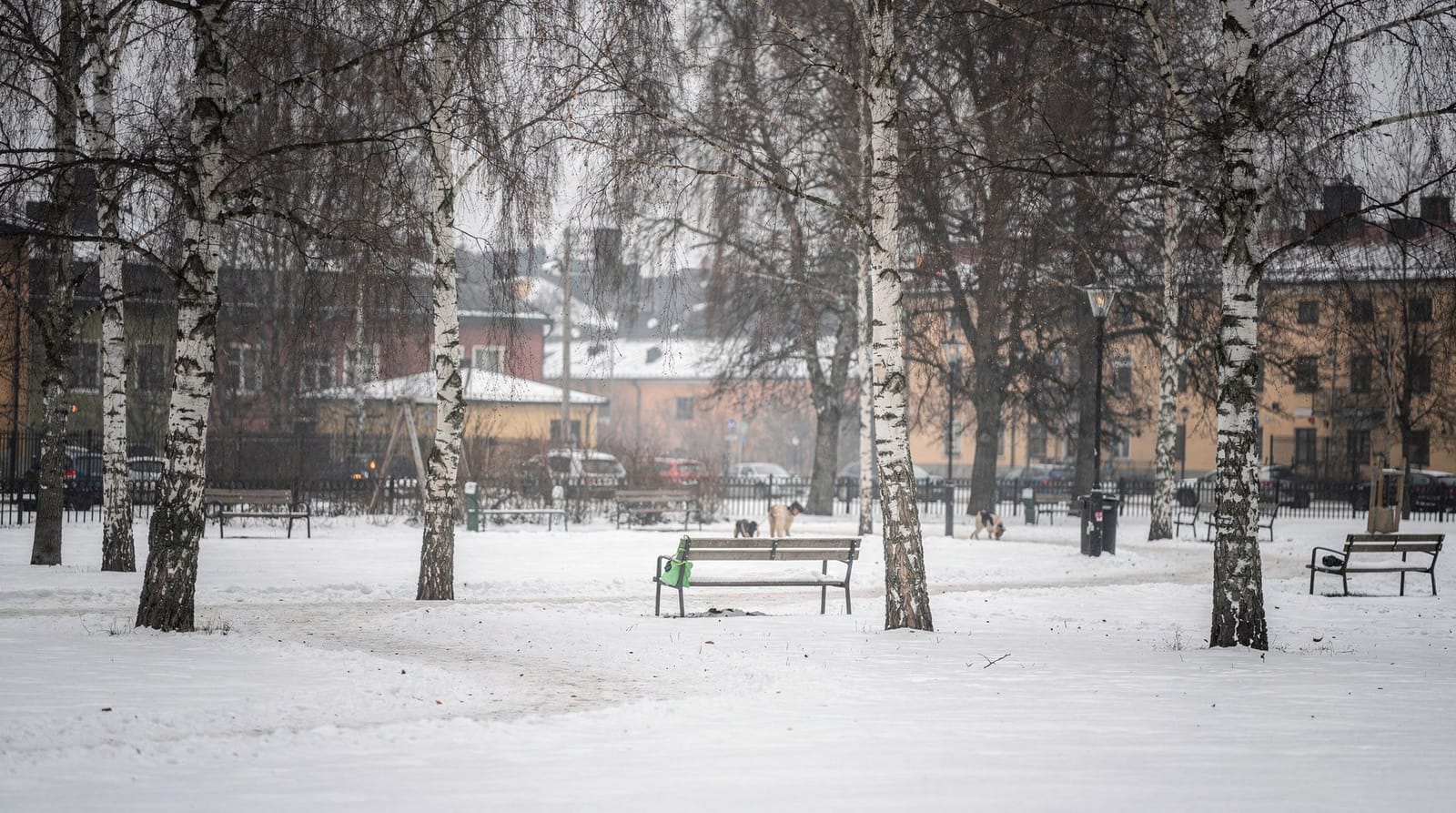 Stockholm in January — the locals-only experience — January is Stockholm's darkest month and its least visited. It's also the month 