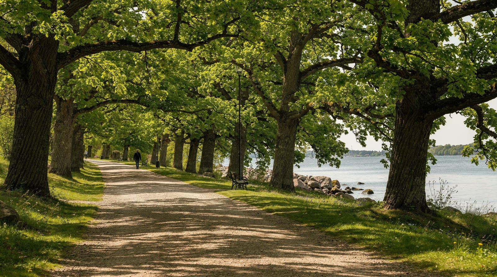 Djurgården walking route: museums, parkland and waterfront — Complete walking route through Djurgården island: Vasa Museum, ABBA Museum, Rose