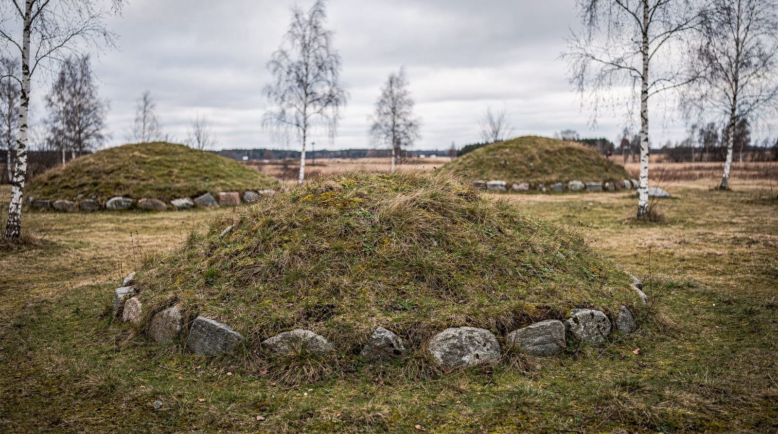 Viking heritage in the Stockholm region: a guide to all major sites — Guide to Viking Age heritage near Stockholm: Birka (UNESCO), Gamla Uppsala buria